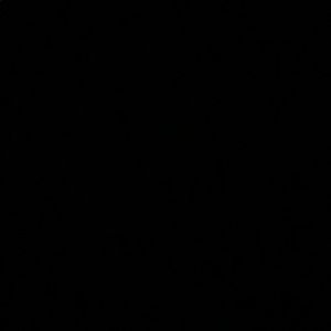 Meet your Posher, Raquel